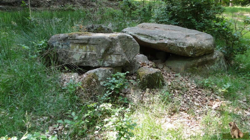 Ritterstein Nr. 150-4 Hohlog.JPG - Ritterstein Nr.150  Hohlog                               